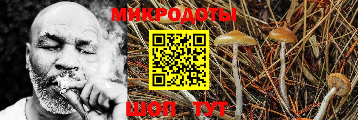 наркошоп  Вход с VPN  Ялуторовск  Псилоцибиновые грибы мухоморы 